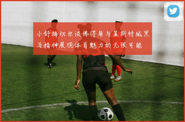 小舒梅切尔谈佛得角与莱斯特城黑马精神展现体育魅力的无限可能
