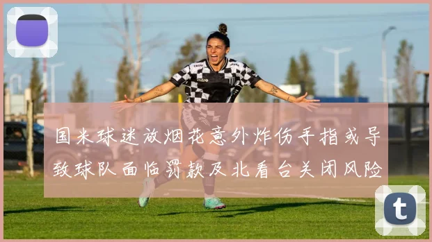 国米球迷放烟花意外炸伤手指或导致球队面临罚款及北看台关闭风险